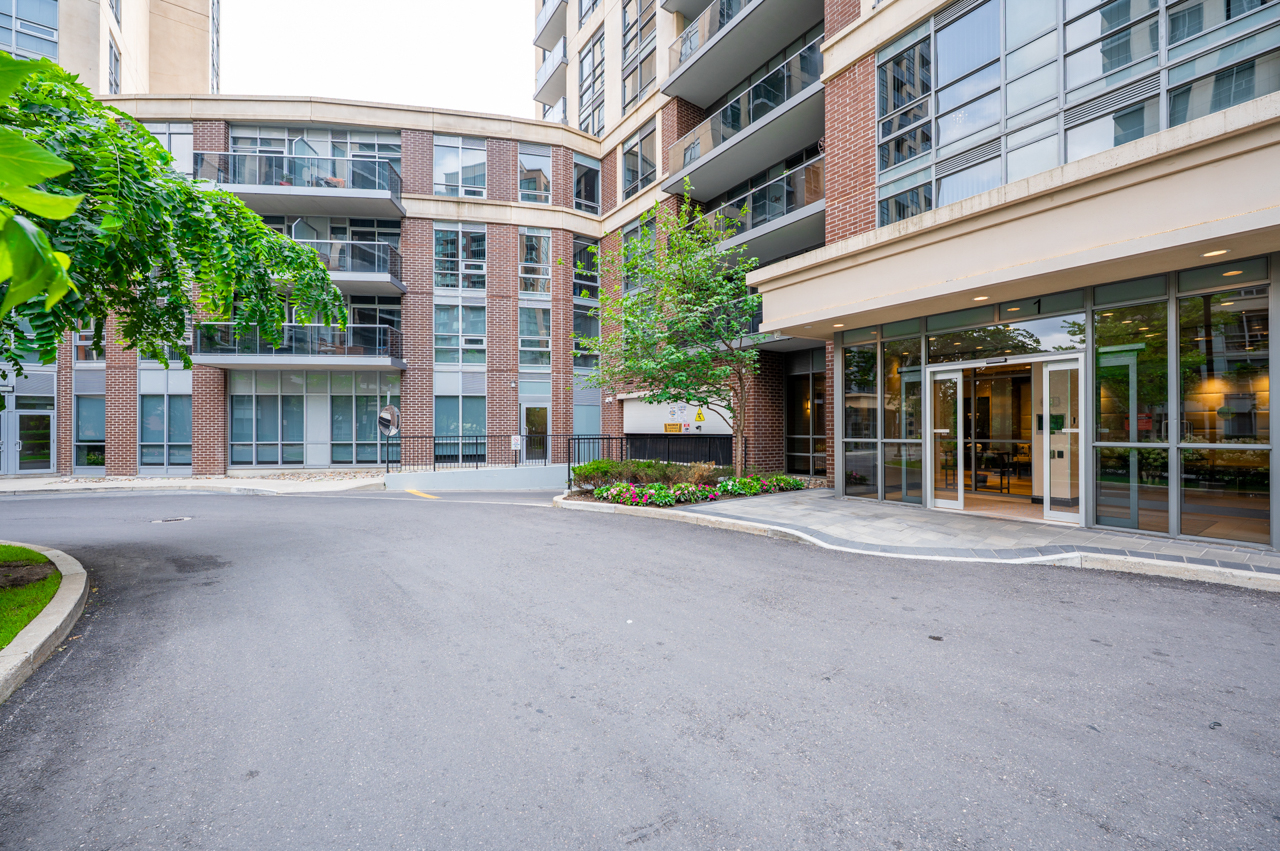 Entrance & Drive